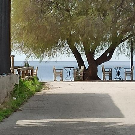 Villa Ψάθα Παραλία Exterior foto